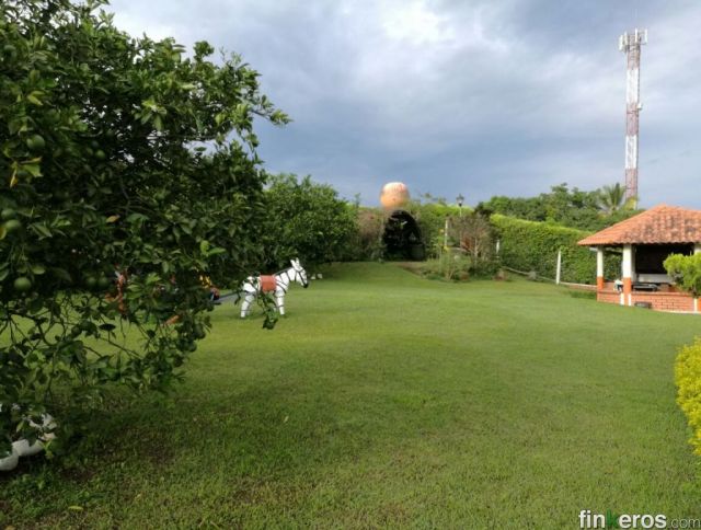 para tu tranquilidad excelentes fincas y lindas cm f. 64 - Finca en Pereira, Risaralda